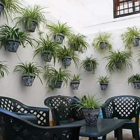 Szálloda Almona Granada